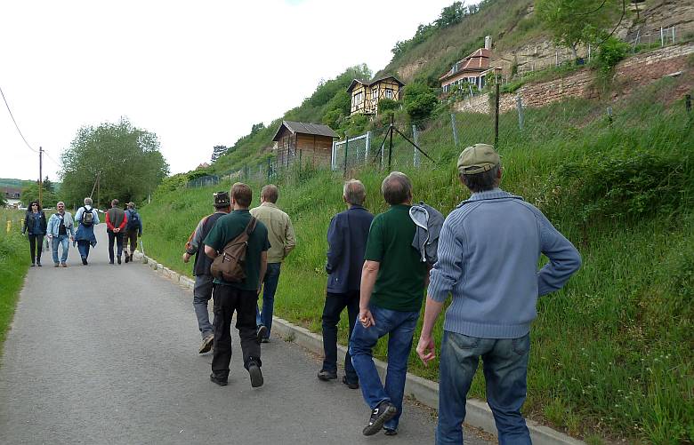 Steigraer Musikanten