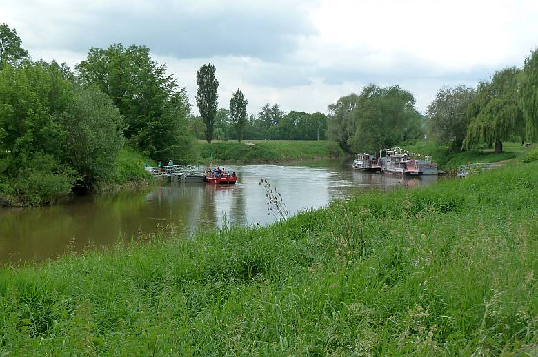 Steigraer Musikanten