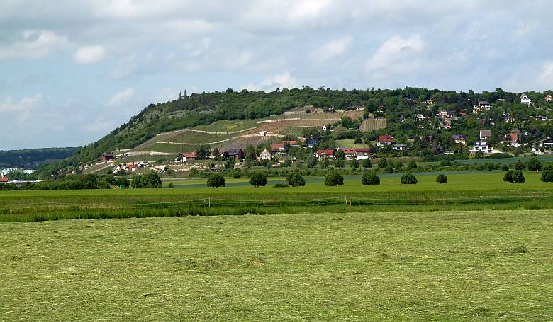 Steigraer Musikanten