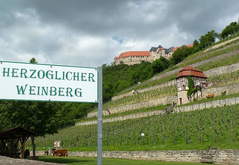 Steigraer Musikanten