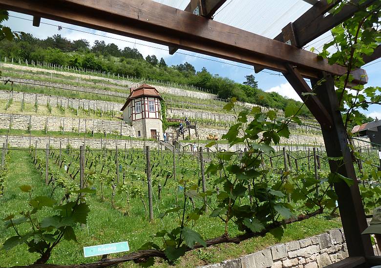 Steigraer Musikanten