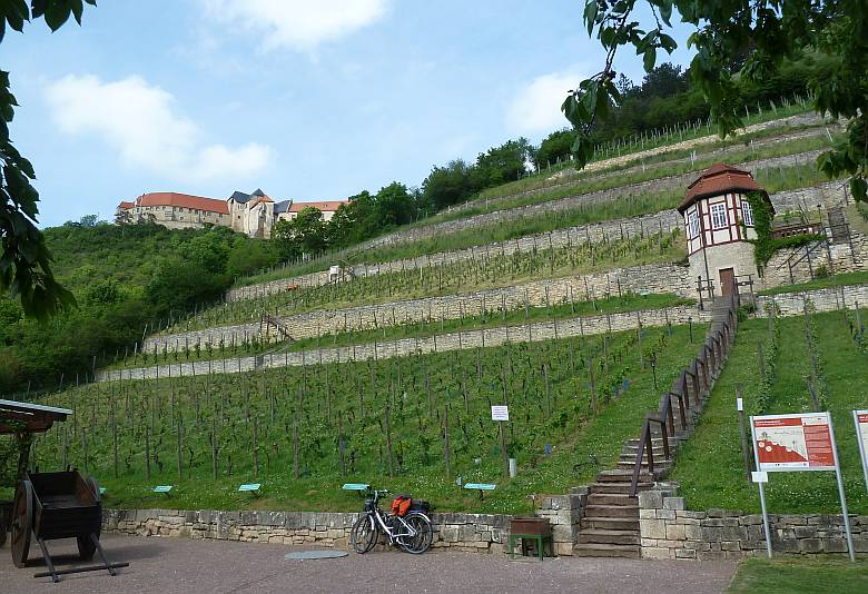 Steigraer Musikanten