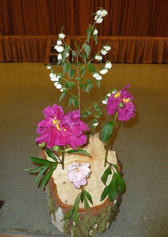 Steigraer Musikanten