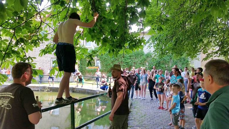 Steigraer Musikanten